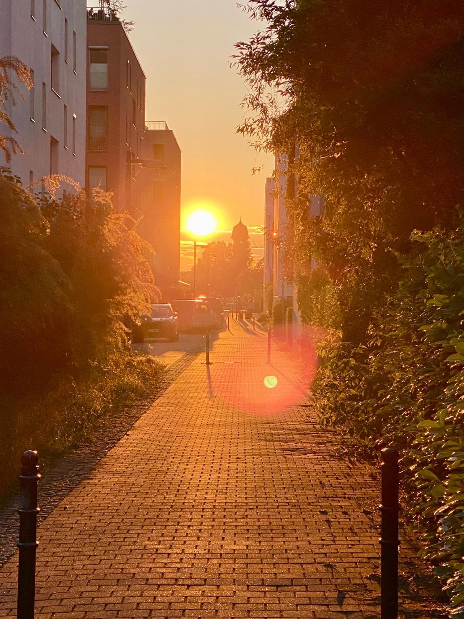 Schoene Aussichten Mitten In Berlin - Il Sole Eksteriør billede